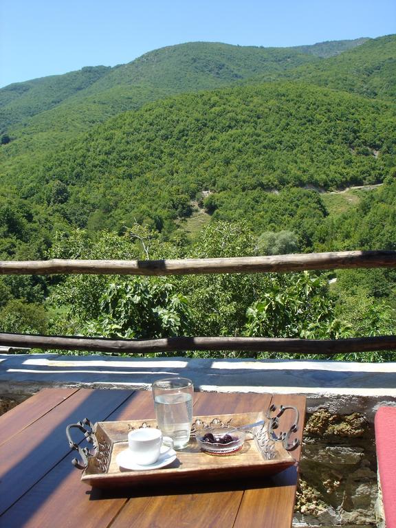 Villa Vadola Arkochorion Экстерьер фото